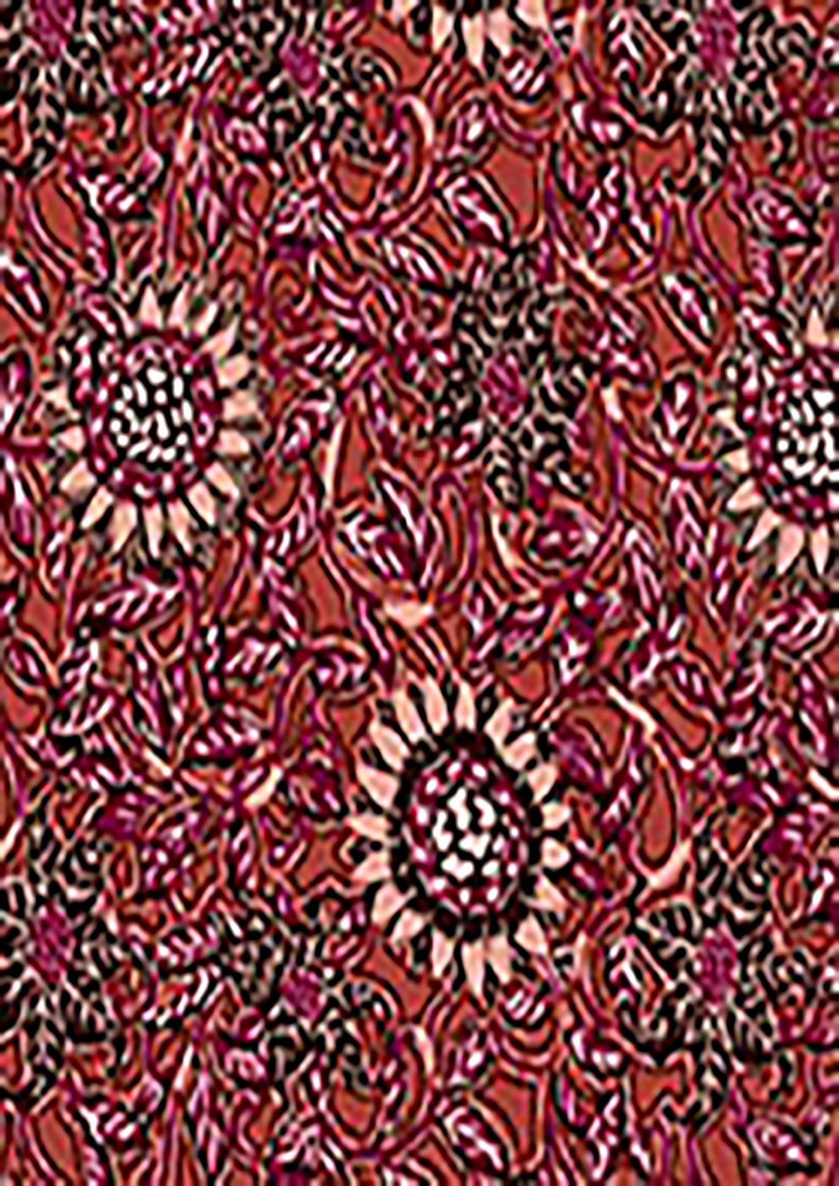 SKIRT IMELYS zephyrp